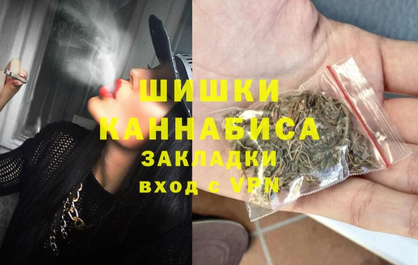индика Аркадак