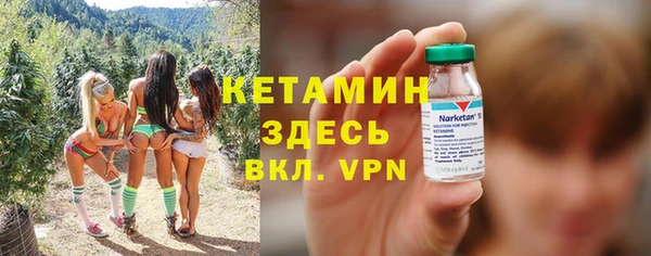 индика Аркадак